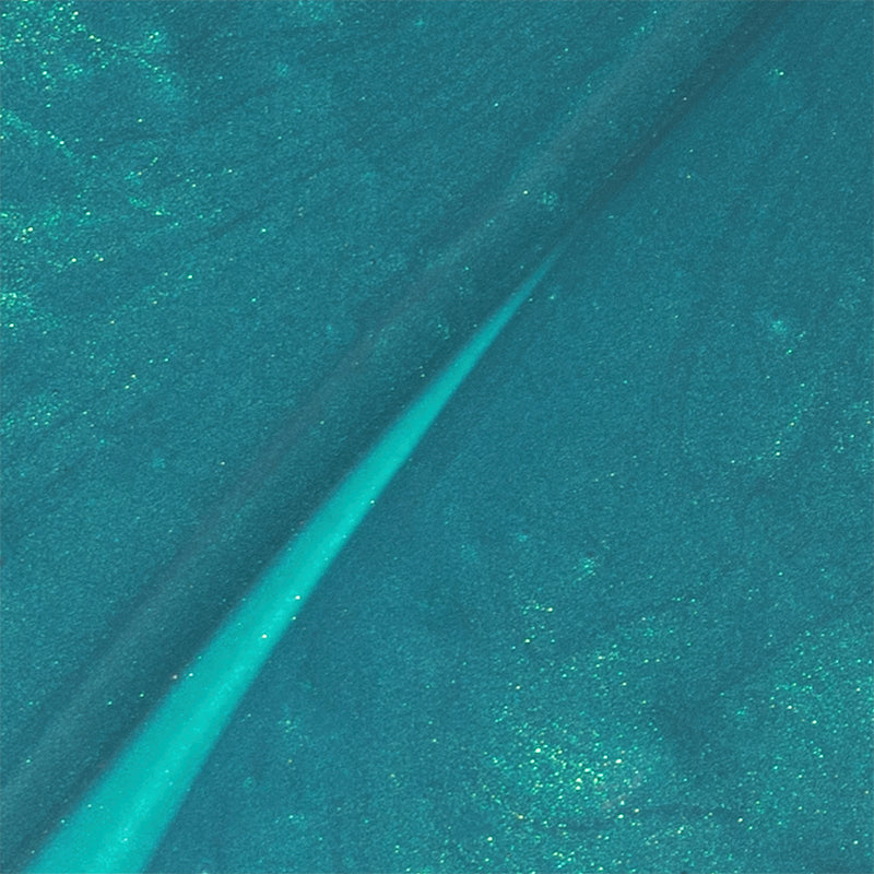 PN LongWear 345 Dragonfly Dazzle 10ml